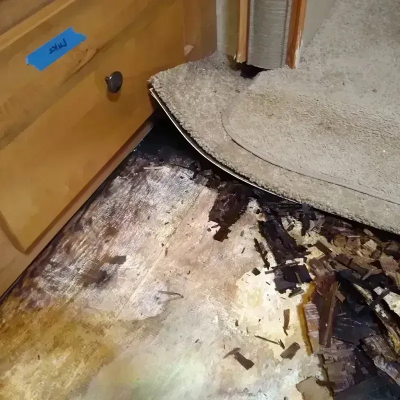 Wood Floor Water Damage in Verona, WI